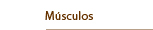 Músculos